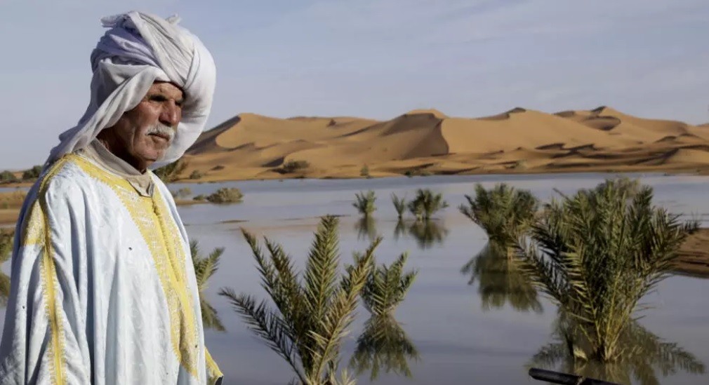 Lluvias torrenciales devuelven la vida al desierto del Sáhara en Marruecos - AlbertoNews
