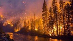 Los gases de efecto invernadero van de récord en récord : IPS Agencia de Noticias