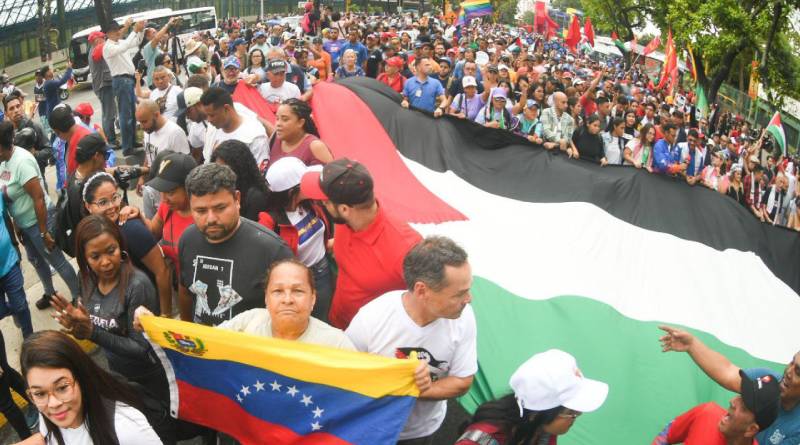 Marcharon a favor de Palestina en Caracas y entregan documento a la ONU
