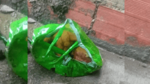 Menor que abandonó a su bebé es imputada