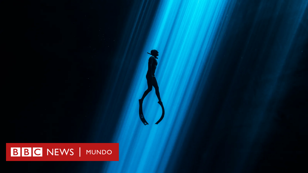México: las maravillas ocultas de los cenotes, el mundo submarino sagrado del país