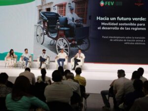 Mintransporte reglamentó la circulación de carrozas eléctricas para turismo | Vehículo | Negocios