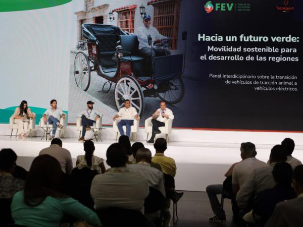 Mintransporte reglamentó la circulación de carrozas eléctricas para turismo | Vehículo | Negocios