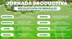 Misión Árbol convoca a jornada de recolección de plantas jóvenes | Diario El Luchador