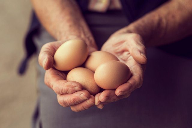 Nutrientes del huevo: Mitos comunes y su verdadero valor en la dieta colombiana