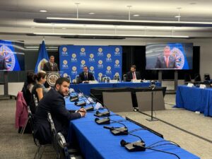 Oposición demuestra en la OEA victoria de González Urrutia