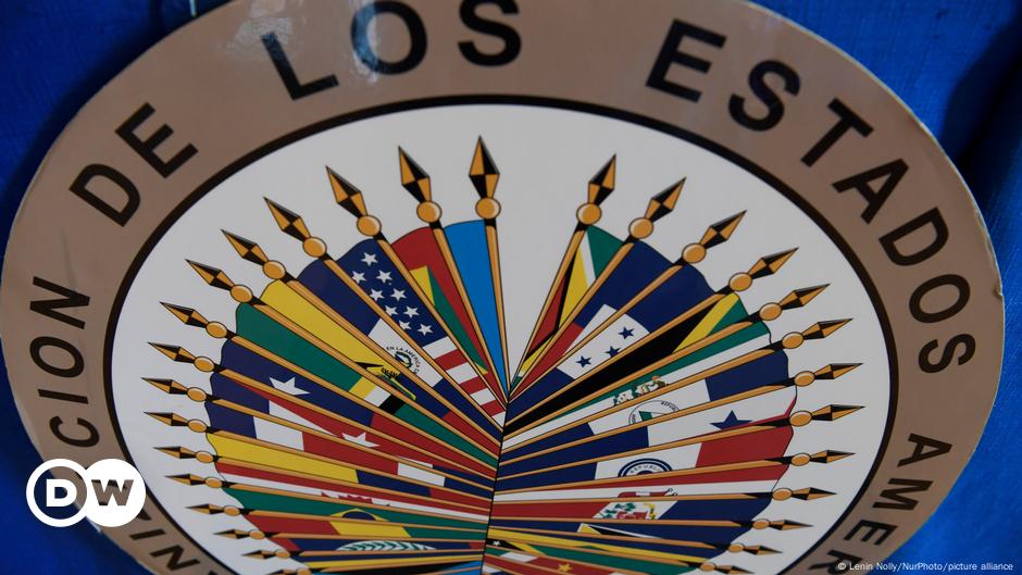 Oposición venezolana defiende ante OEA su victoria electoral – DW – 15/10/2024