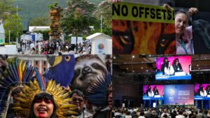 Programación de la COP16 hoy 29 de octubre en Cali