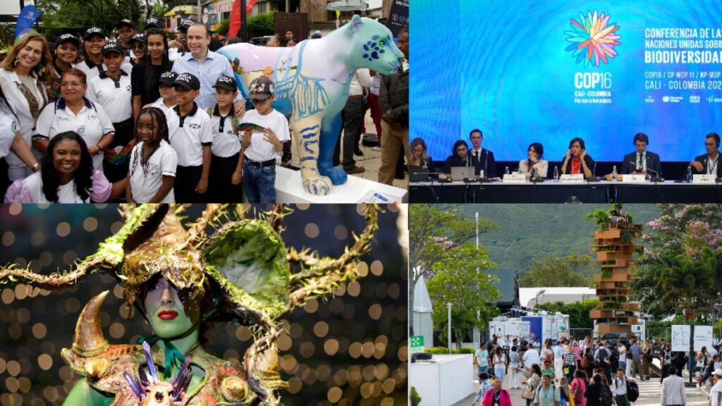 Programación de la COP16 hoy 31 de octubre en Cali
