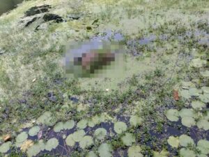 Pueblo de Caruao pide al Fiscal que investigue muerte del cultor Edward Echarry