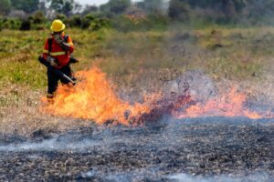 Regresan a Venezuela especialistas que apoyaron combate de incendios en Bolivia - AlbertoNews