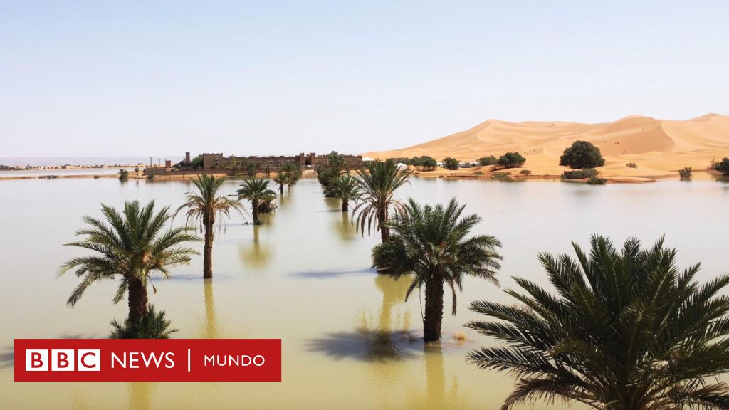 Sahara: las imágenes de las raras inundaciones en el desierto que no ocurrían desde hace 50 años