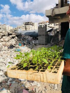 Semillas de resiliencia a pesar de la destrucción inclemente en Gaza : IPS Agencia de Noticias