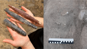 Un arqueólogo realizaba una excavación de rutina y halló armas y esqueletos de hace 4.000 años