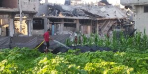 Un oasis verde en mitad de una Gaza moribunda