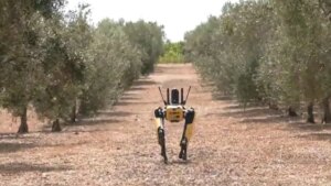 Un perro robot ayuda a controlar los cultivos para facilitar la tarea a los agricultores