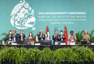Un “plan Marshall” para la biodiversidad: el desafío de financiamiento sin más deuda : IPS Agencia de Noticias