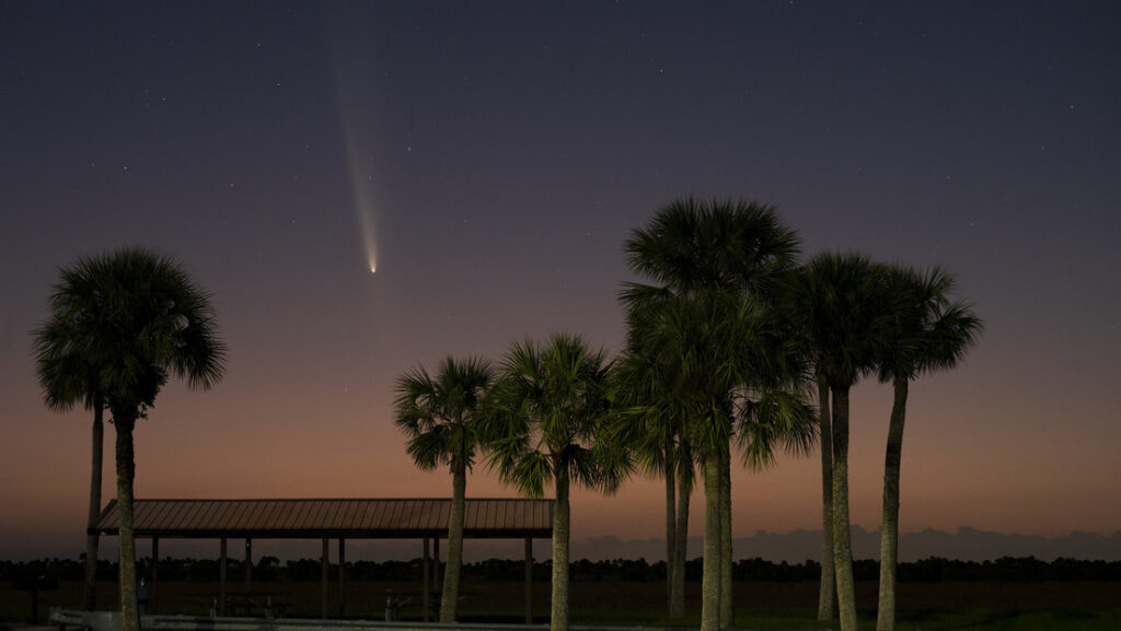 Un raro cometa recorre el cielo nocturno de la Tierra (Fotos y videos) - AlbertoNews