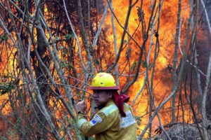 Venezuela envía 54 bomberos más a Bolivia ante "la ola de incendios" - AlbertoNews
