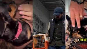 Video| Indignación por mujeres que obligan a perrita pincher a inhalar sustancias alucinógenas