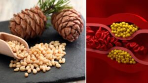 el fruto seco que más antioxidantes posee y reduce el colesterol más rápidamente