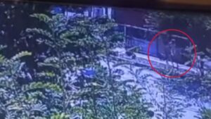 habla padre de Sofía Delgado, la niña desaparecida en Valle del Cauca; explica por qué es un caso complejo