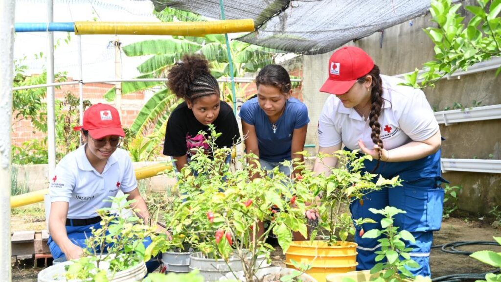 proyecto de prevención ante inundaciones de la Cruz Roja