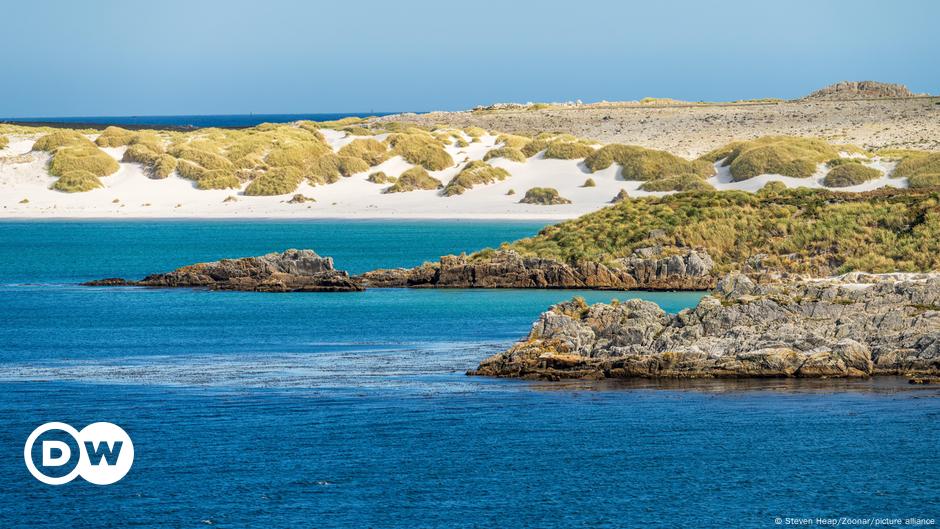 soberanía de islas Malvinas "no es negociable" – DW – 08/10/2024