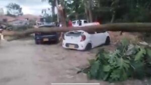 tres vehículos destruidos, viviendas destechadas y cortes de energía dejan lluvias y vientos en el Meta
