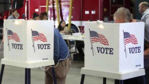 ya votaron cerca de 50 millones de personas