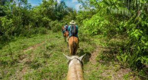 ¿Dónde se puede hacer safari en Colombia? Turismo en el Casanare