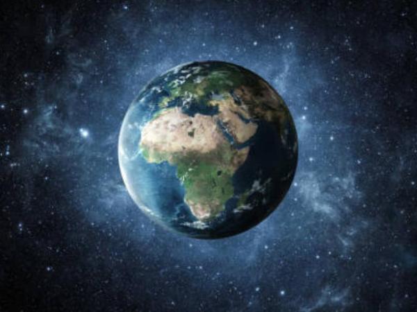 ¿Cuál sería la nueva especie dominante en la Tierra si el ser humano se extingue? | Finanzas | Economía