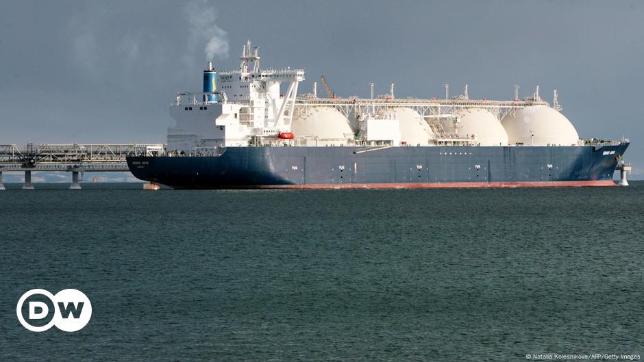 ¿Importa Alemania gas ruso a pesar del boicot? – DW – 18/11/2024