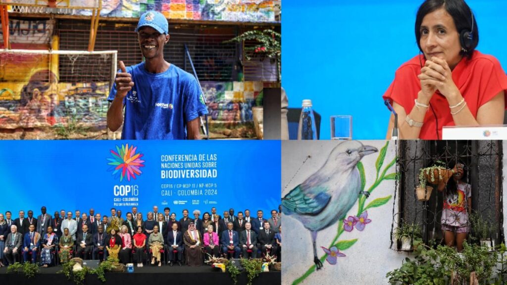 COP16 llega a su último día