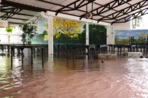 Colombia busca en la COP29 ayuda humanitaria internacional para damnificados por lluvias - AlbertoNews