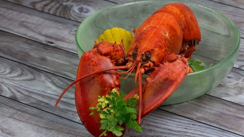 Cómo diferenciar la langosta del bogavante