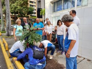 Contrapunto asumió como padrino de tres árboles en El Rosal: Concejal Hilmer Escalona los entregó formalmente