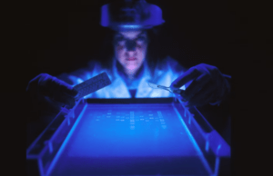 Crearon cristal de memoria 5D para almacenar el genoma humano
