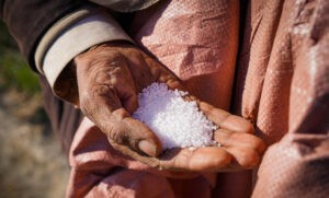 Crece el daño causado por el óxido nitroso de los fertilizantes : IPS Agencia de Noticias