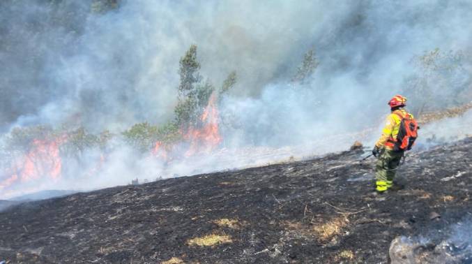 Declaran emergencia nacional en Ecuador