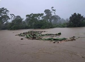 El fin de la COP29 llega sin recursos aún para atender las pérdidas y daños por el clima : IPS Agencia de Noticias