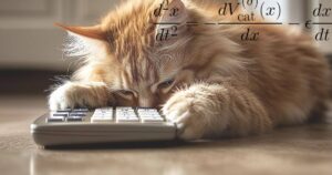 Físico español revela la ecuación del gato