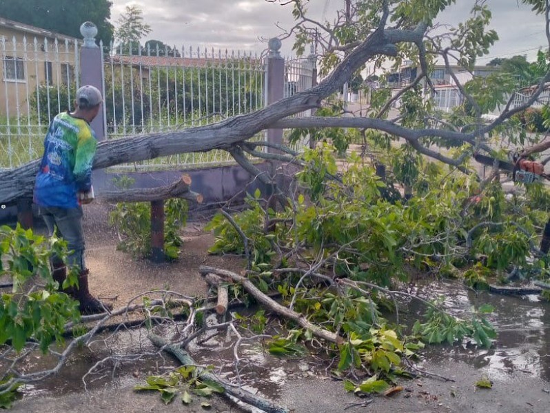 Gobierno municipal continúa monitoreo preventivo por lluvias | Diario El Luchador