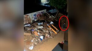 Pillan a Rubén Gisbert, colaborador de Iker Jiménez, tirándose al barro para falsear un directo