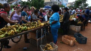 Improductividad agropecuaria aflige la seguridad alimentaria en Cuba : IPS Agencia de Noticias