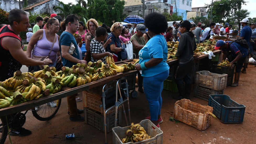 Improductividad agropecuaria aflige la seguridad alimentaria en Cuba : IPS Agencia de Noticias