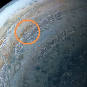 La sonda Juno de la NASA capturó la imagen de un “delfín” en la atmósfera de Júpiter