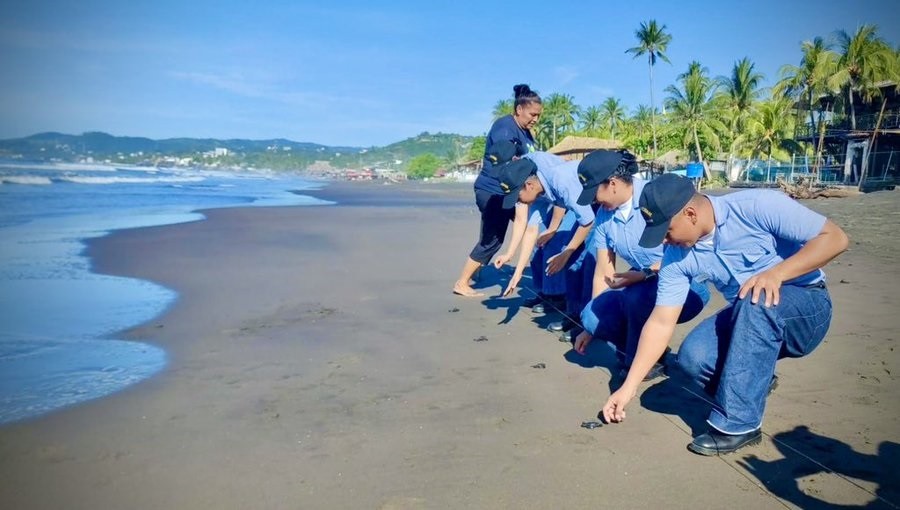 Liberan 336 tortugas de río en Guárico como parte de un plan de conservación - AlbertoNews