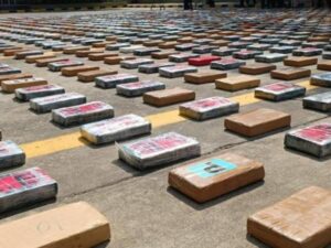 Logran la más grande incautación de marihuana en Colombia de los últimos 7 años | Regiones | Economía