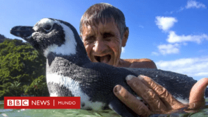 "Mi amigo el pingüino": la increíble historia de una amistad que conmovió al mundo y fue llevada al cine con el actor Jean Reno